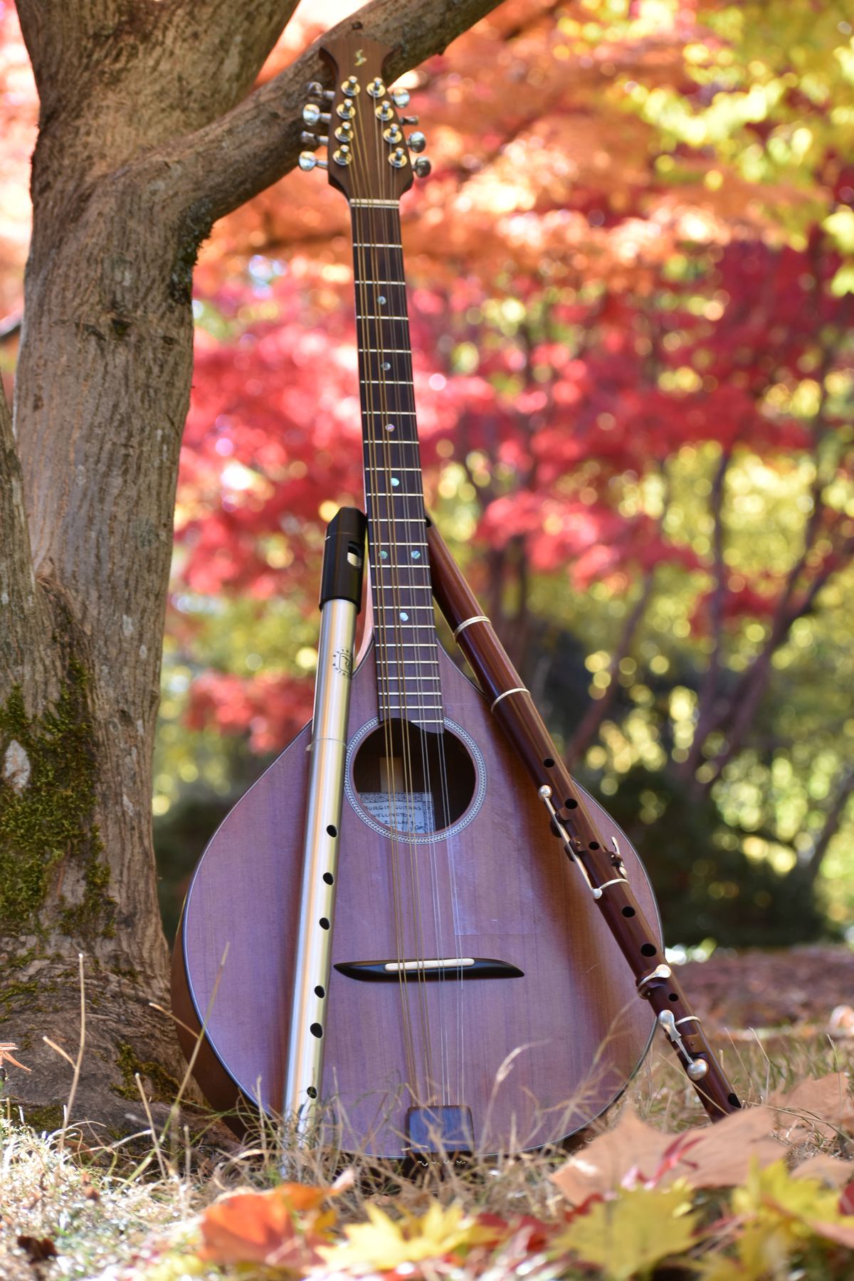 Bouzouki and flutes leaning against an autumn tree
