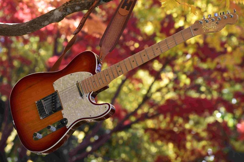 Fender Telecaster guitar hanging in autumn trees